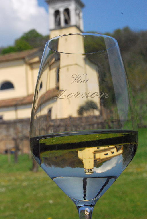 Agriturismo Domus Rustica Cormòns Екстериор снимка
